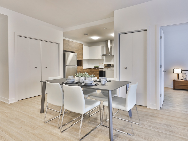 Studio / Bachelor Apartments for rent in Ville St-Laurent - Bois-Franc at Vita - Photo 08 - RentersPages – L405441