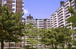1 bedroom Apartments for rent in Toronto at Rose Park - Photo 01 - RentersPages – L225030