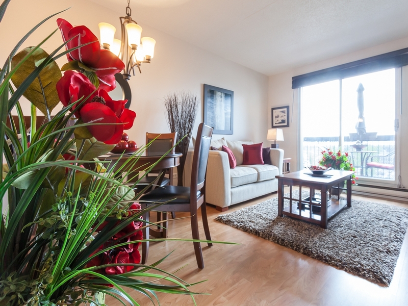 1 bedroom Apartments for rent in Laval at Les Habitations du Souvenir - Photo 02 - RentersPages – L4967